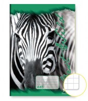 Z445-Zebra